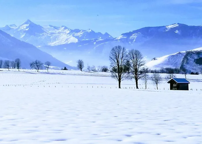 Mit Grosser Loggia Lejlighed